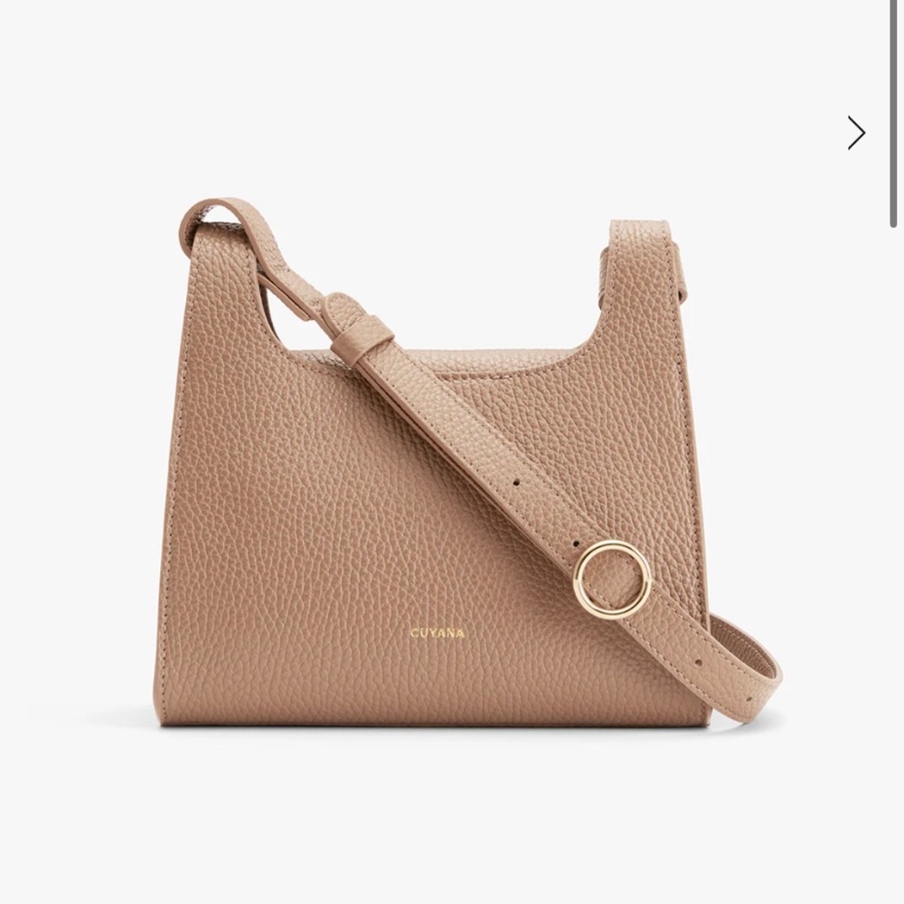 Cuyana Mini Double Loop Bag